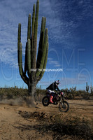 1X_2025_SCORE_BAJA1000_GETSOMEPHOTO_57946