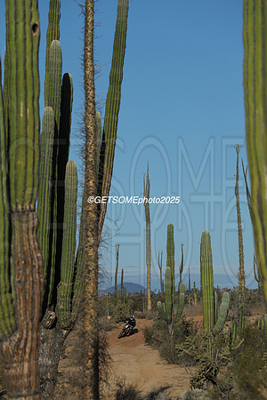 1X_2025_SCORE_BAJA1000_GETSOMEPHOTO_58646
