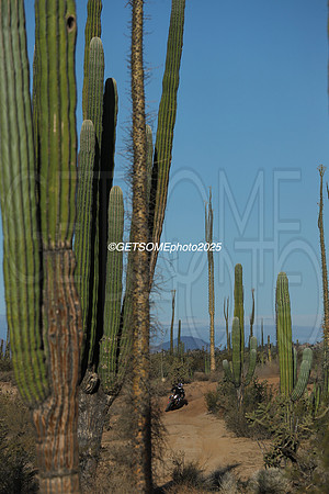 1X_2025_SCORE_BAJA1000_GETSOMEPHOTO_58648