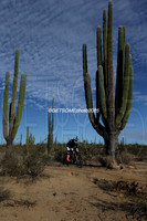 1X_2025_SCORE_BAJA1000_GETSOMEPHOTO_57943