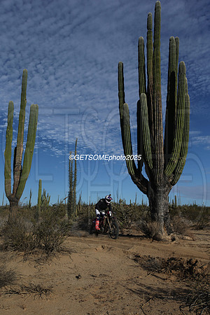 1X_2025_SCORE_BAJA1000_GETSOMEPHOTO_57943