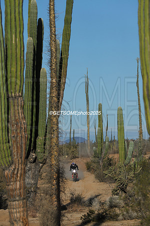 1X_2025_SCORE_BAJA1000_GETSOMEPHOTO_58655