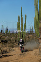 1X_2025_SCORE_BAJA1000_GETSOMEPHOTO_58674
