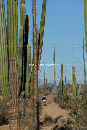 1X_2025_SCORE_BAJA1000_GETSOMEPHOTO_58651