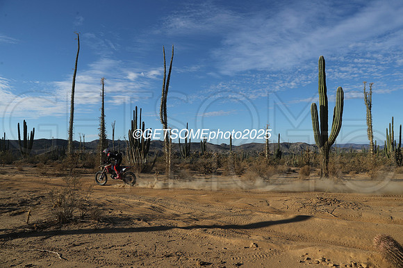 7X_2025_SCORE_BAJA1000_GETSOMEPHOTO_57379