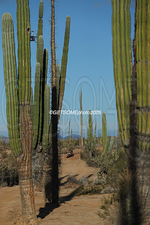 7X_2025_SCORE_BAJA1000_GETSOMEPHOTO_58634