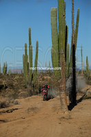 Bikes and quads