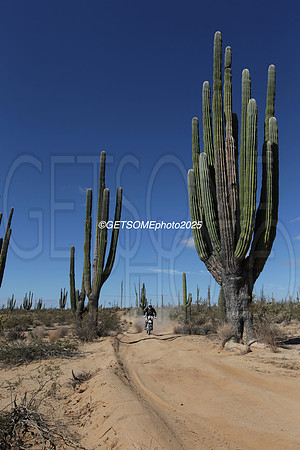 15X_2025_SCORE_BAJA1000_GETSOMEPHOTO_58121