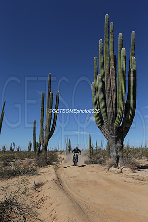 15X_2025_SCORE_BAJA1000_GETSOMEPHOTO_58124