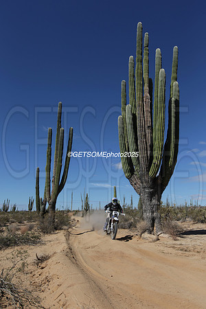 15X_2025_SCORE_BAJA1000_GETSOMEPHOTO_58126
