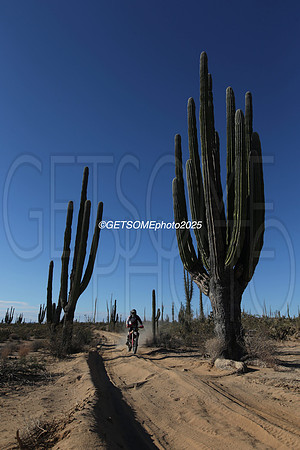 40X_2025_SCORE_BAJA1000_GETSOMEPHOTO_58393