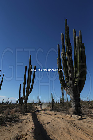 40X_2025_SCORE_BAJA1000_GETSOMEPHOTO_58391