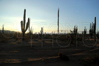 1L_2025_SCORE_BAJA1000_GETSOMEPHOTO_57500