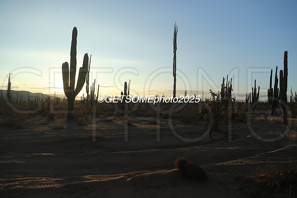 1L_2025_SCORE_BAJA1000_GETSOMEPHOTO_57500