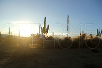 1L_2025_SCORE_BAJA1000_GETSOMEPHOTO_57489