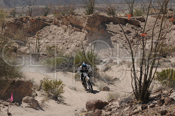 23x_17SF250_GETSOMEphoto_94626