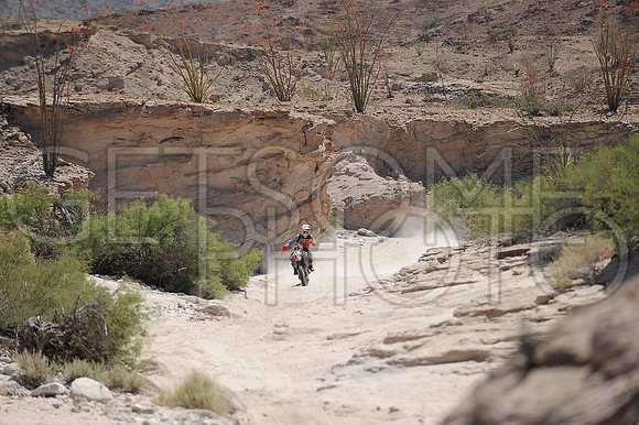 45x_17SF250_GETSOMEphoto_94518