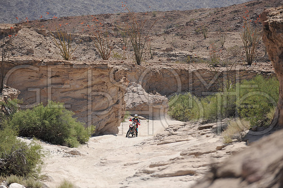 45x_17SF250_GETSOMEphoto_94512