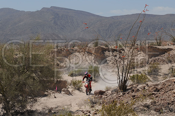 33x_17SF250_GETSOMEphoto_94616