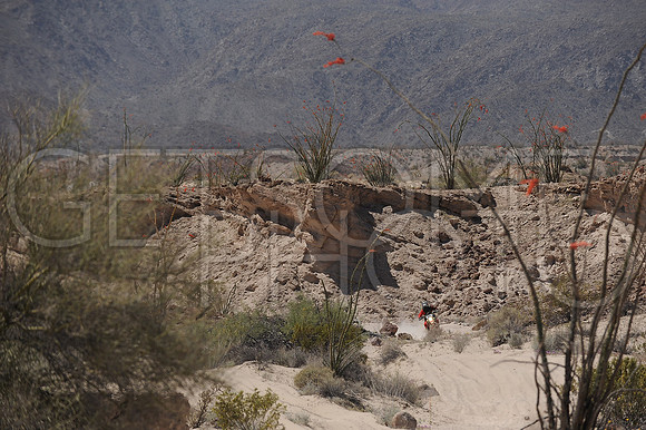 13x_17SF250_GETSOMEphoto_94587