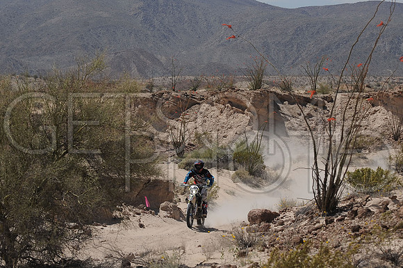 100x_17SF250_GETSOMEphoto_94612