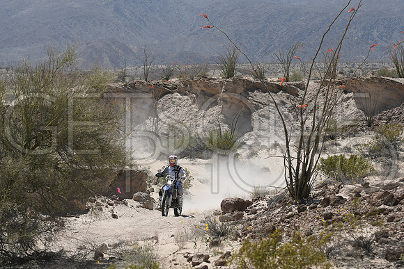 300x_17SF250_GETSOMEphoto_94634
