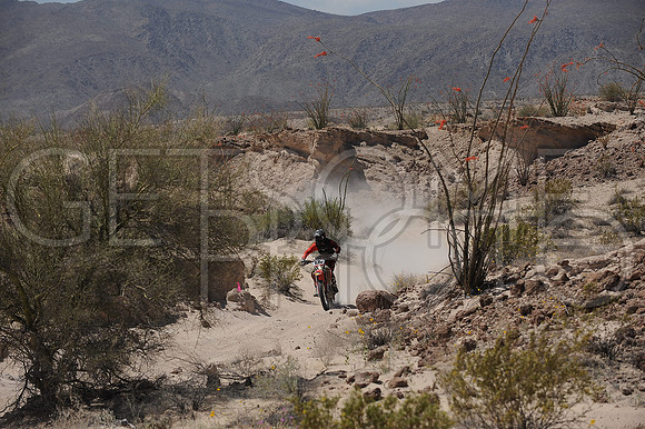 13x_17SF250_GETSOMEphoto_94597
