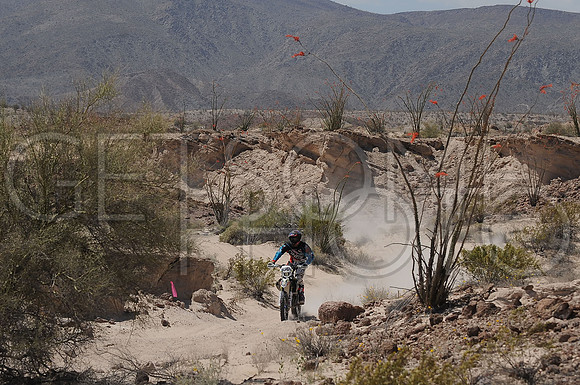 100x_17SF250_GETSOMEphoto_94609