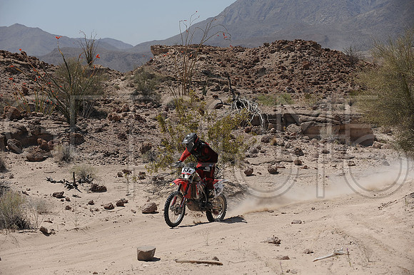 13x_17SF250_GETSOMEphoto_94600