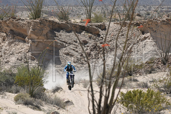 125x_17SF250_GETSOMEphoto_94567