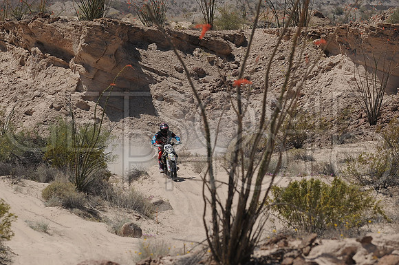 100x_17SF250_GETSOMEphoto_94605