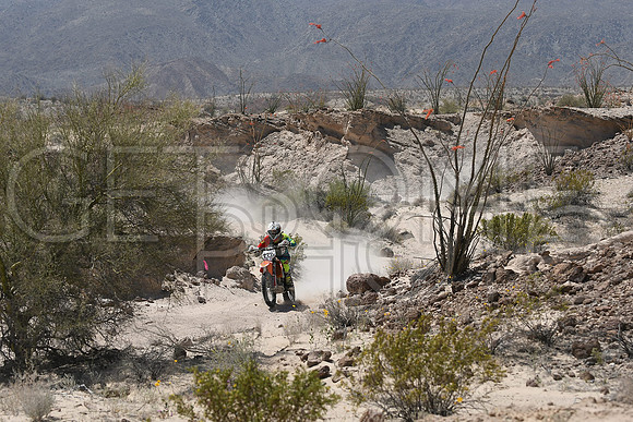 333x_17SF250_GETSOMEphoto_94543