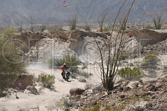 160x_17SF250_GETSOMEphoto_94556