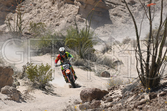 333x_17SF250_GETSOMEphoto_94540