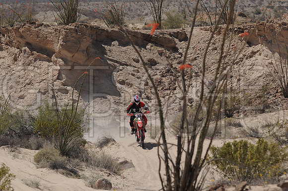 33x_17SF250_GETSOMEphoto_94613