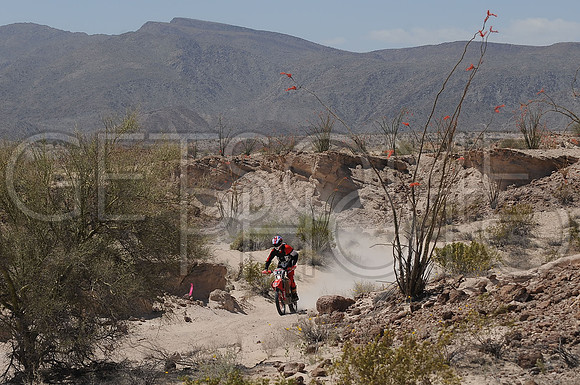33x_17SF250_GETSOMEphoto_94617