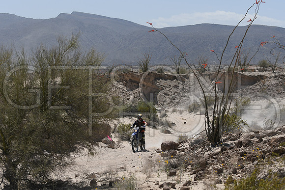 371x_17SF250_GETSOMEphoto_94664