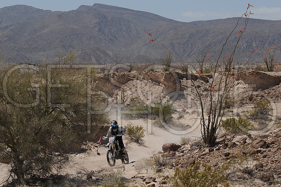 23x_17SF250_GETSOMEphoto_94628