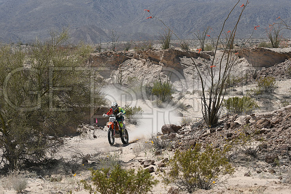 333x_17SF250_GETSOMEphoto_94546